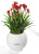 Кашпо Lechuza Puro Color 20 см Кашпо Lechuza Puro Color 20 см на VALLES.TOP