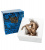 Статуэтка Veronese Атлет WS-113/1 на VALLES.TOP