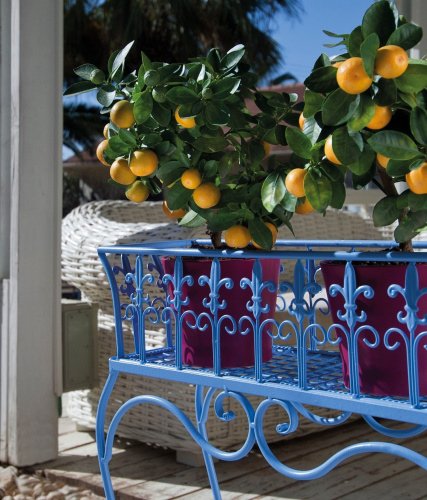 Грунт-эмаль Tambour Hammerton матовая, антикоррозионная на VALLES.TOP