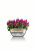 Кашпо Lechuza Cubeto Color 30 см Кашпо Lechuza Cubeto Color 30 см на VALLES.TOP