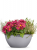 Кашпо Lechuza Cubeto Color 30 см Кашпо Lechuza Cubeto Color 30 см на VALLES.TOP