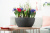 Кашпо Lechuza Cubeto Color 40 см Кашпо Lechuza Cubeto Color 40 см на VALLES.TOP