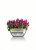 Кашпо Lechuza Cubeto Color 40 см Кашпо Lechuza Cubeto Color 40 см на VALLES.TOP