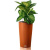 Кашпо Lechuza Cilindro Color 23 см Кашпо Lechuza Cilindro Color 23 см на VALLES.TOP