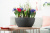 Кашпо Lechuza Cubeto Color 30 см Кашпо Lechuza Cubeto Color 30 см на VALLES.TOP