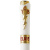 Ручка Montegrappa Elvis Presley Las Vegas gold шариковая на VALLES.TOP