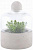 Террариум Esschert Design S для растений на VALLES.TOP