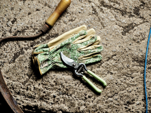 Секатор Briers Honeysuckle на VALLES.TOP