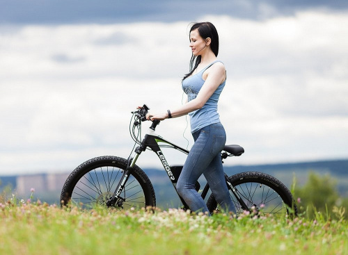 Велогибрид Leisger MD5 Basic 27,5 Black на VALLES.TOP